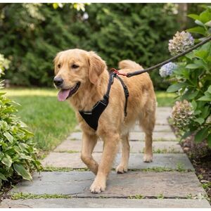 Voyager Aerolite No-Pull Dog Harness Size Large Reflective Adjustable Black New